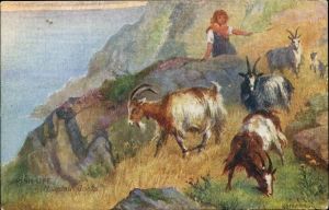 Irish Life Mountain Goats Nora Drummond
